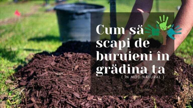 Cum să scapi de buruieni în grădina ta (în mod natural)